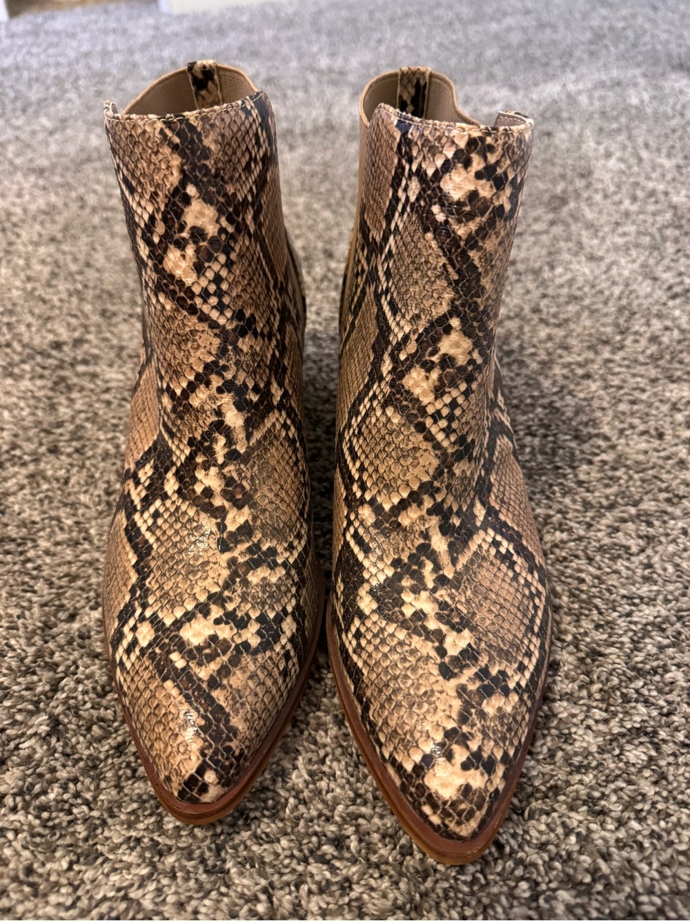 Chinese Laundry Snake-Print Pointed Ankle Boots in Brown and Black